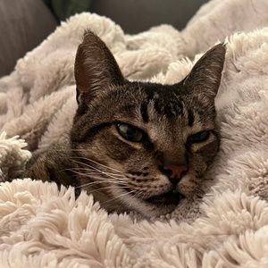 Meet your Posher, Posh